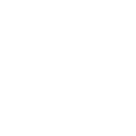 vision-2